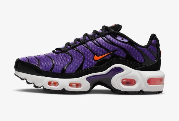 Air Max TN Plus Purple