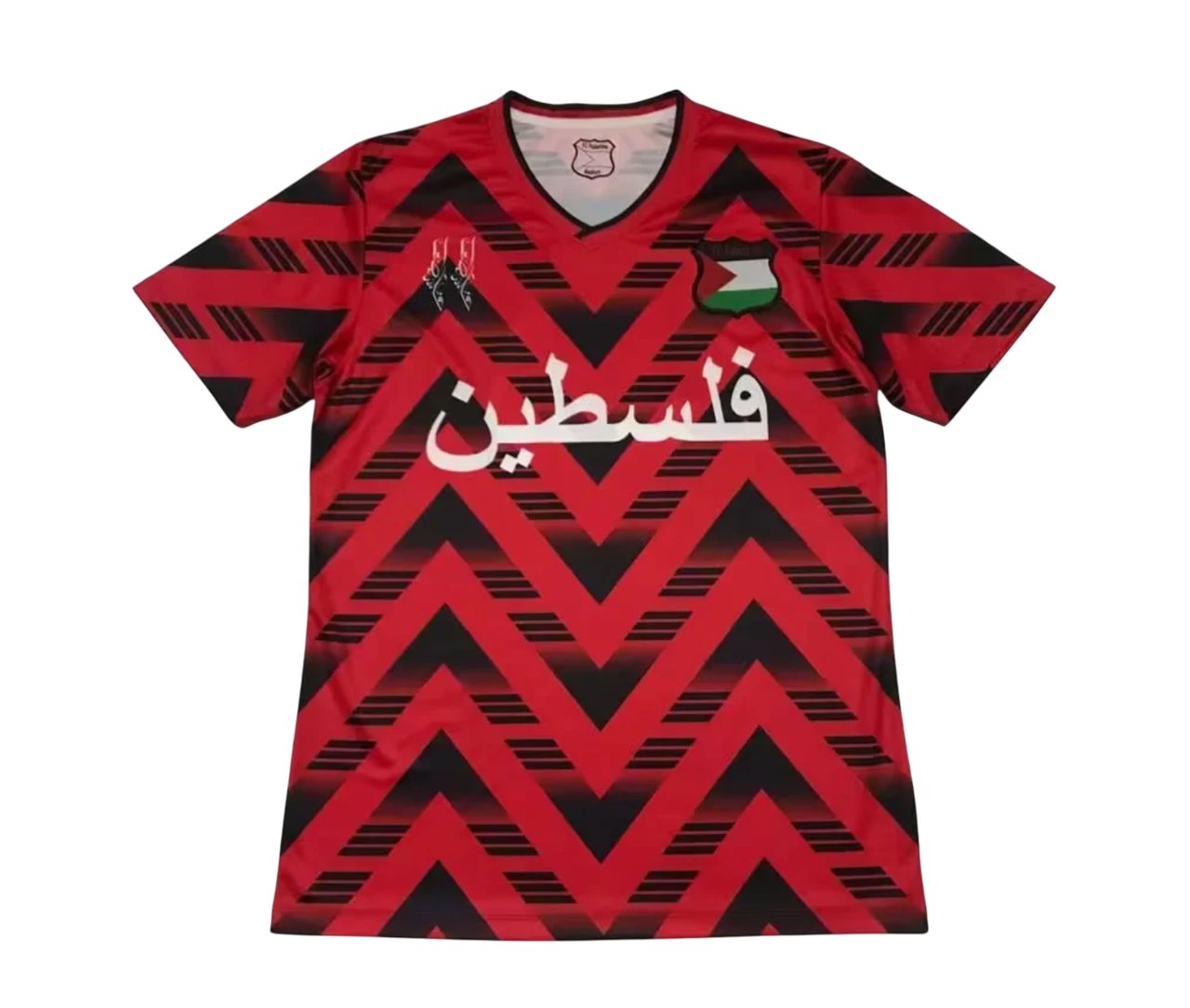 Camiseta Palestina Concepto