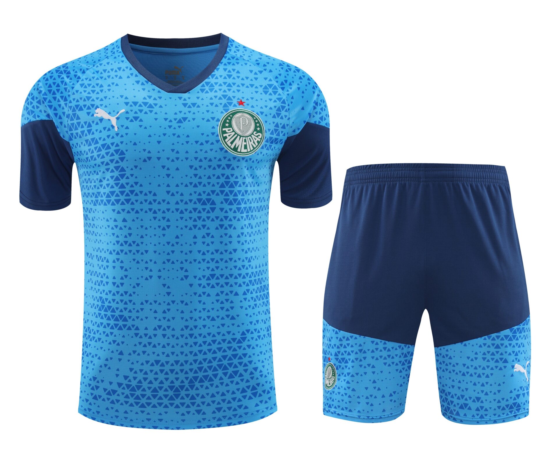 Conjunto de calentamiento Palmeiras azul